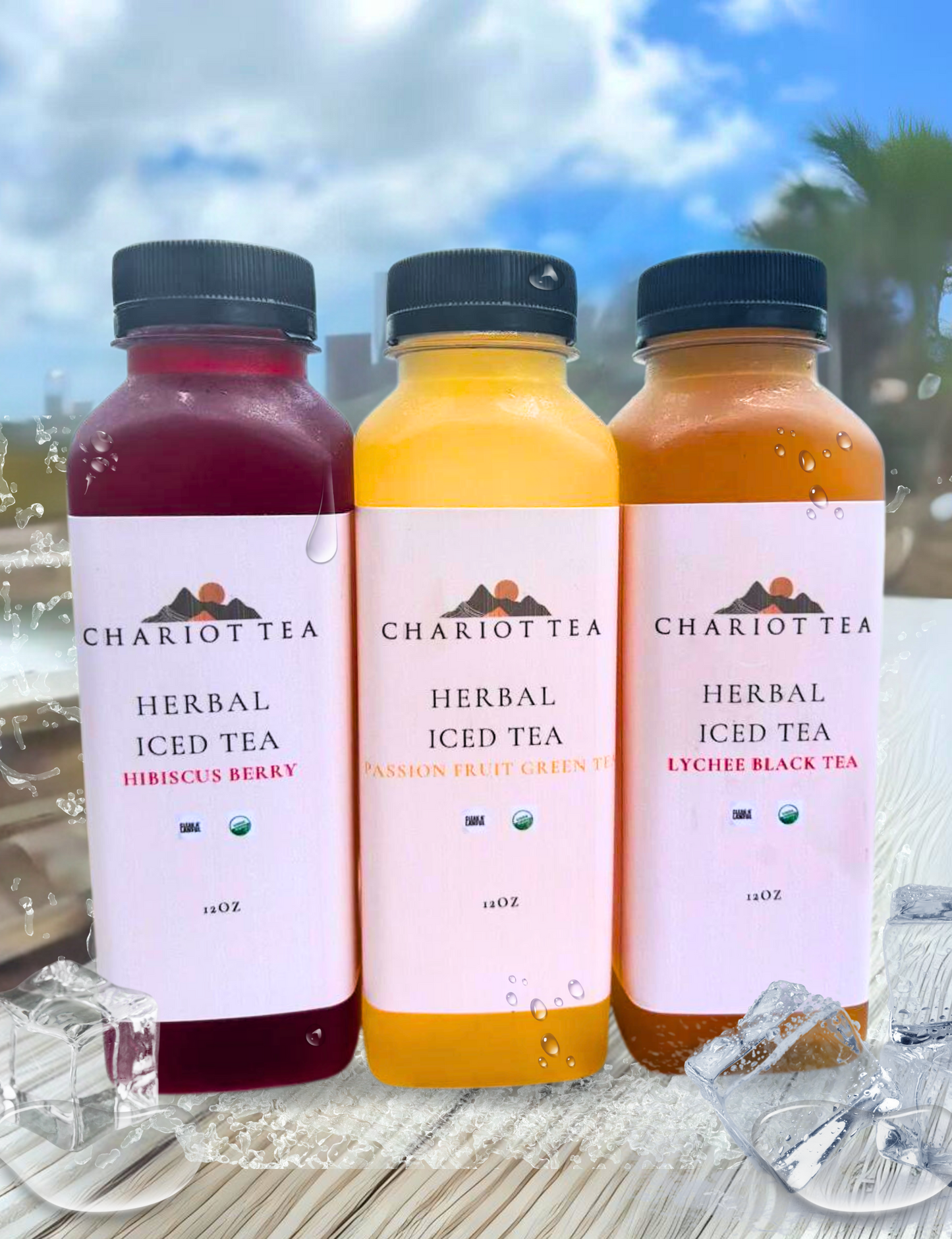 “Made to Order” Organic Fruit Iced Tea (2 - 16oz bottles)
