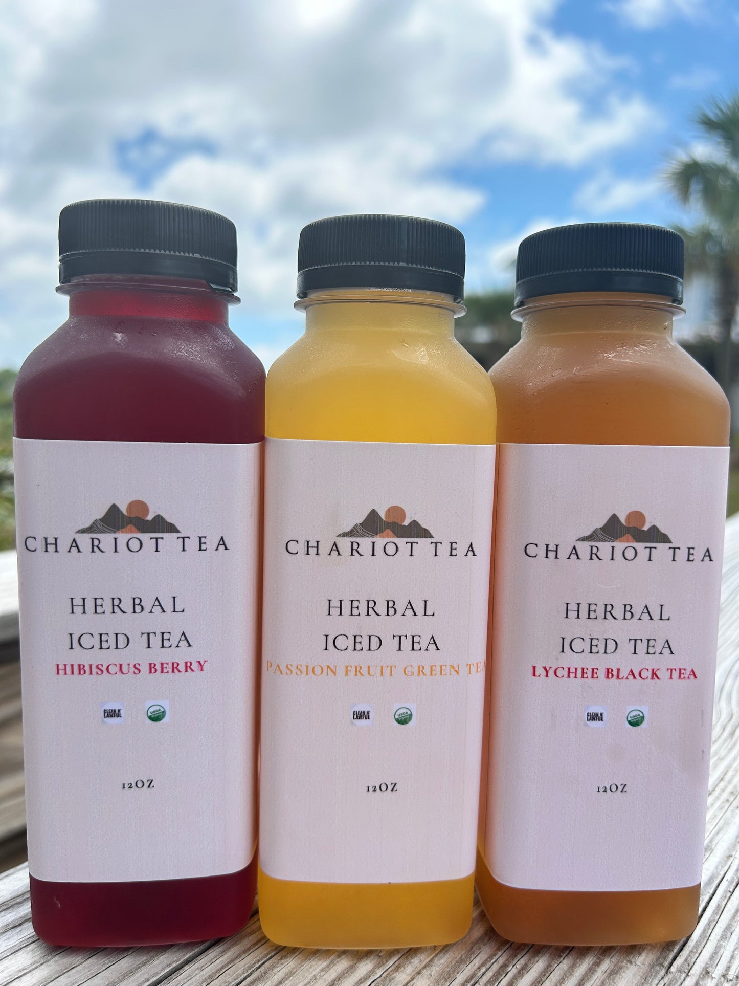 “Made to Order” Organic Fruit Iced Tea (2 - 16oz bottles)
