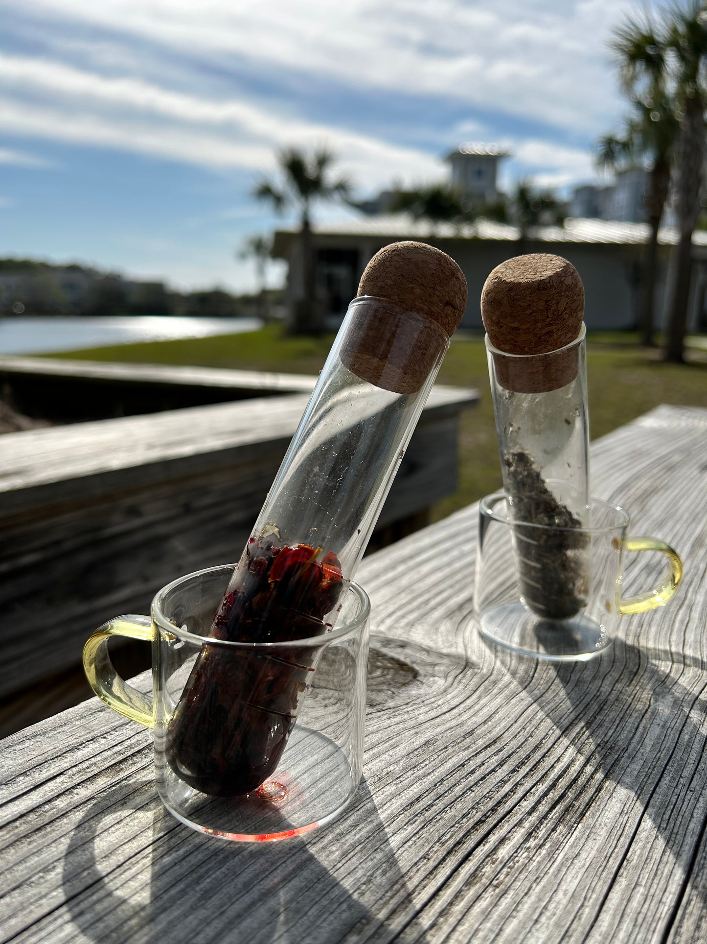 Glass Tea Infuser "Baby Chariot"